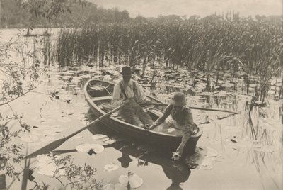 Seerosen sammeln von Peter Henry Emerson